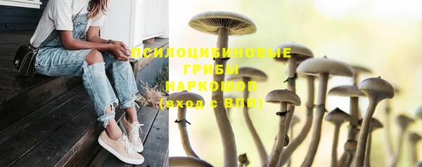синтетический гашиш Кулебаки