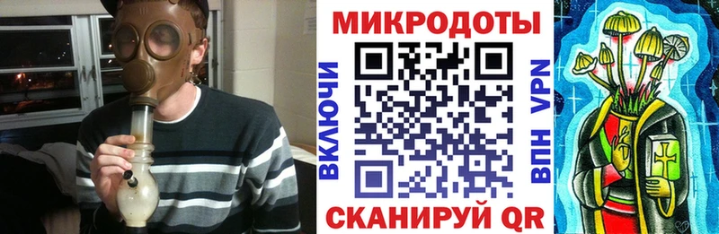 Псилоцибиновые грибы Psilocybe  Суворов 